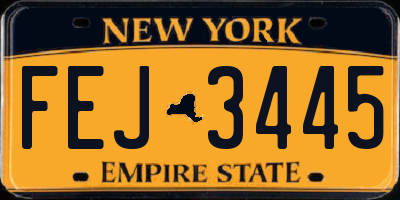 NY license plate FEJ3445