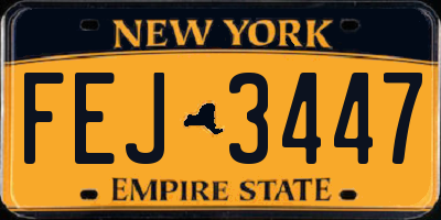NY license plate FEJ3447
