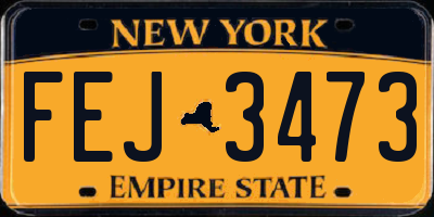NY license plate FEJ3473