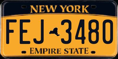 NY license plate FEJ3480