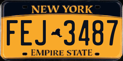 NY license plate FEJ3487