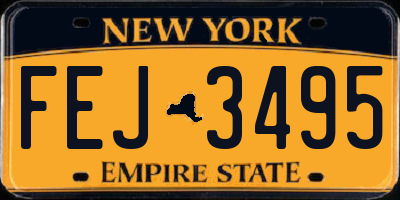 NY license plate FEJ3495