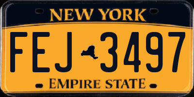 NY license plate FEJ3497