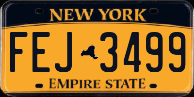 NY license plate FEJ3499