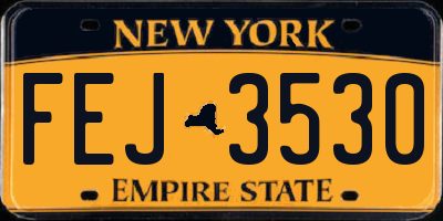 NY license plate FEJ3530