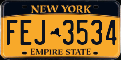 NY license plate FEJ3534