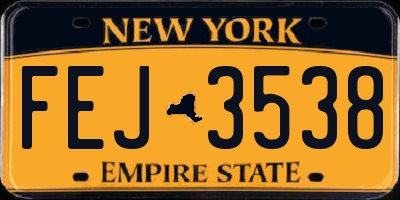 NY license plate FEJ3538