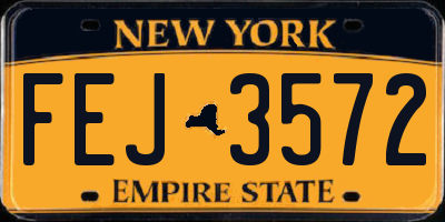 NY license plate FEJ3572