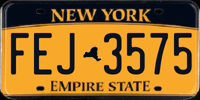 NY license plate FEJ3575