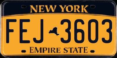 NY license plate FEJ3603