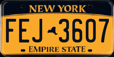 NY license plate FEJ3607