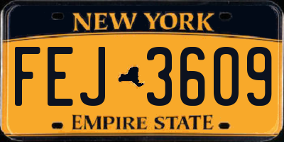NY license plate FEJ3609