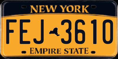 NY license plate FEJ3610