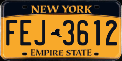 NY license plate FEJ3612