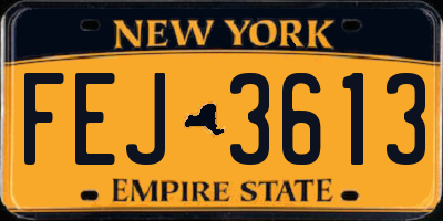 NY license plate FEJ3613