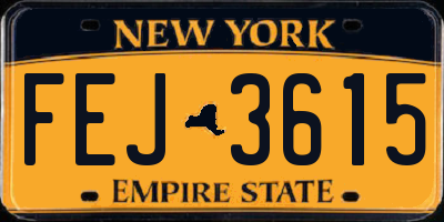 NY license plate FEJ3615