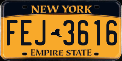 NY license plate FEJ3616
