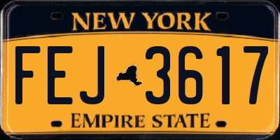 NY license plate FEJ3617