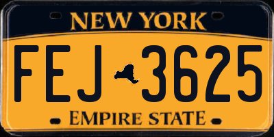 NY license plate FEJ3625