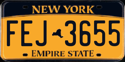NY license plate FEJ3655