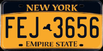 NY license plate FEJ3656