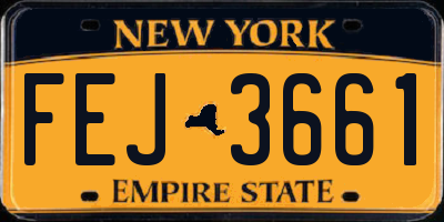 NY license plate FEJ3661