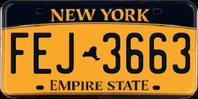 NY license plate FEJ3663