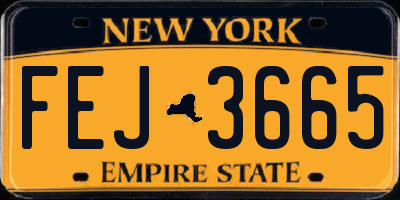 NY license plate FEJ3665