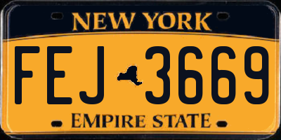 NY license plate FEJ3669