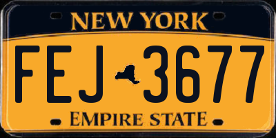 NY license plate FEJ3677