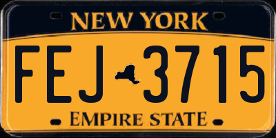 NY license plate FEJ3715
