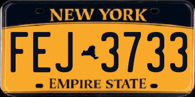 NY license plate FEJ3733