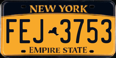 NY license plate FEJ3753