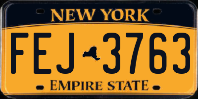 NY license plate FEJ3763