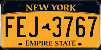 NY license plate FEJ3767