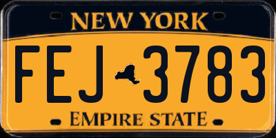 NY license plate FEJ3783