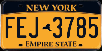 NY license plate FEJ3785