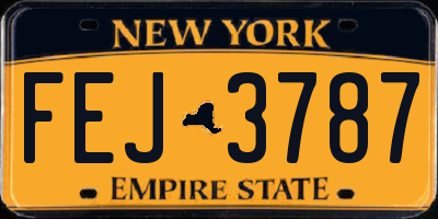 NY license plate FEJ3787