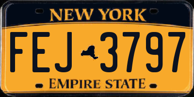 NY license plate FEJ3797