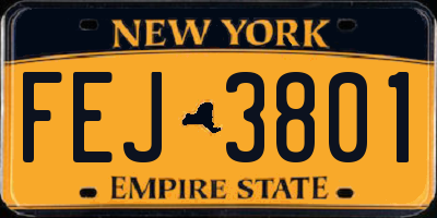 NY license plate FEJ3801