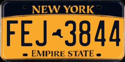 NY license plate FEJ3844