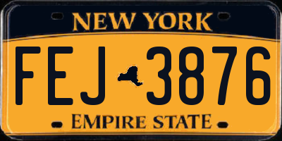 NY license plate FEJ3876