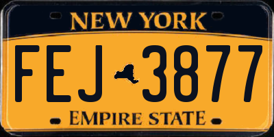 NY license plate FEJ3877