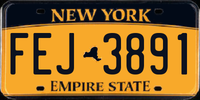 NY license plate FEJ3891