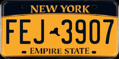 NY license plate FEJ3907