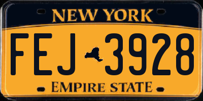 NY license plate FEJ3928