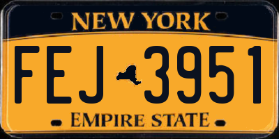 NY license plate FEJ3951
