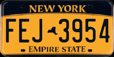 NY license plate FEJ3954