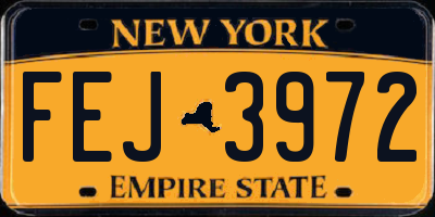 NY license plate FEJ3972