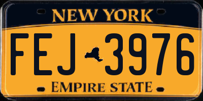 NY license plate FEJ3976